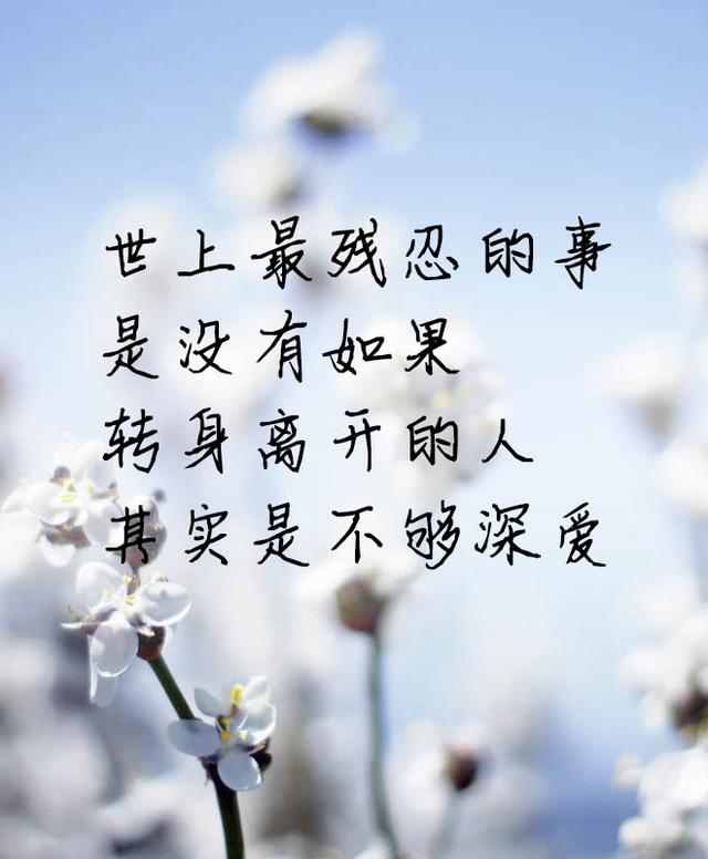 深情不言,爱便一生守候
