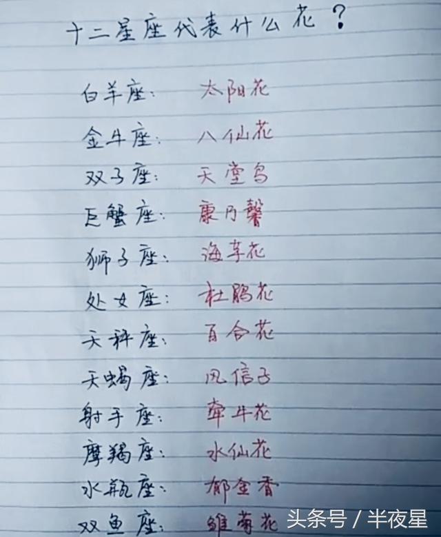 十二星座最佳闺蜜配对,和最理性的几大姿势双鱼座男喜欢的床上的星座图片