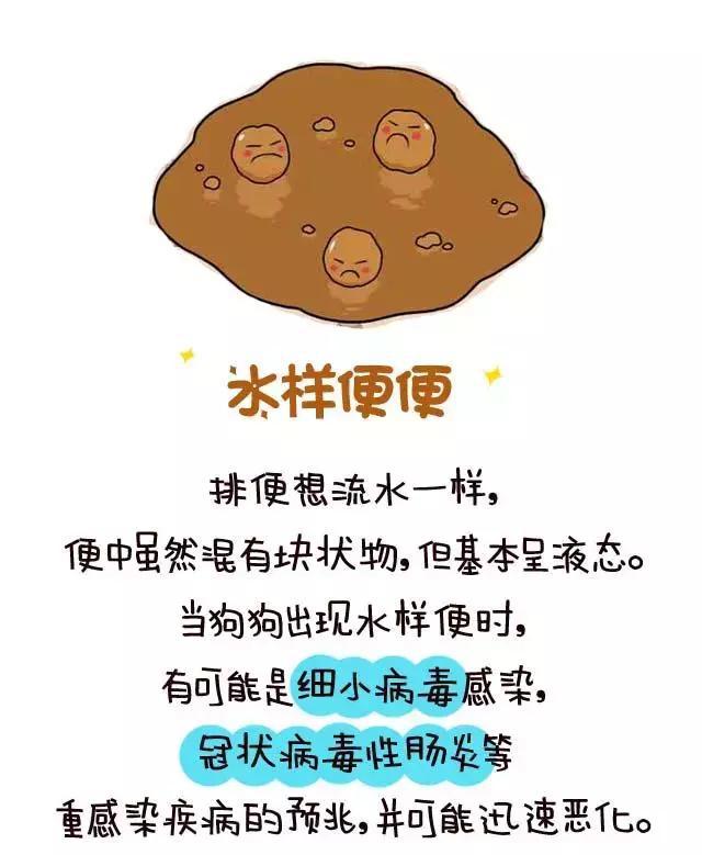 从便便看宠物的健康 全程漫画 不恶心