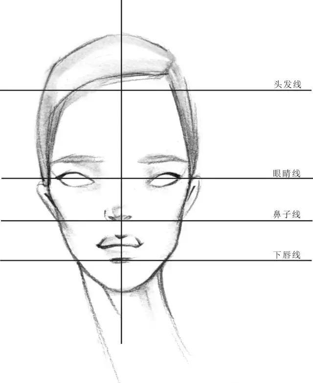 在学习时装人体的五官时,应掌握脸部的"三停五眼"的基本法则,再结合所
