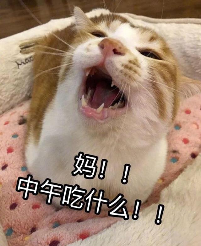离不开我妈,每天和妈的日常萌萌表情包,你妈喊你回家吃饭!