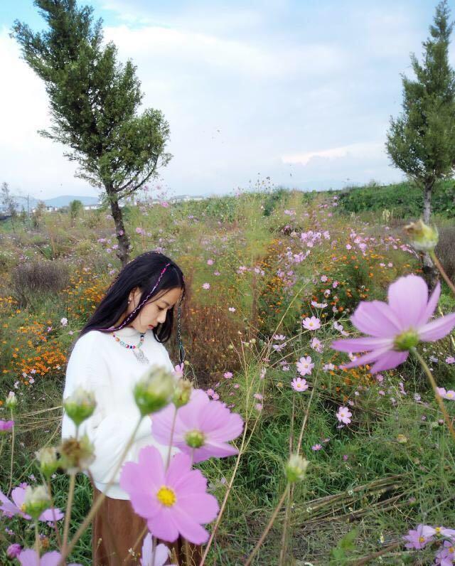 我亲爱的姑娘 新浪网