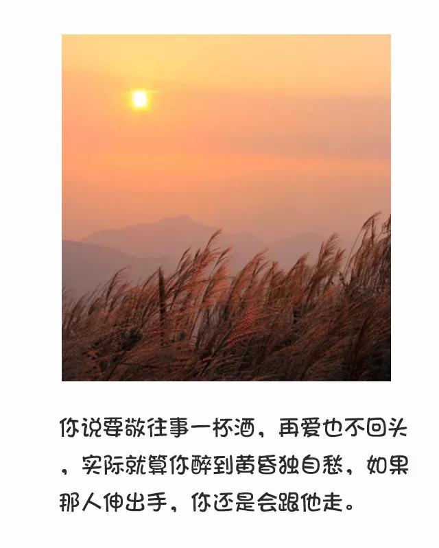 心软是病,情深致命
