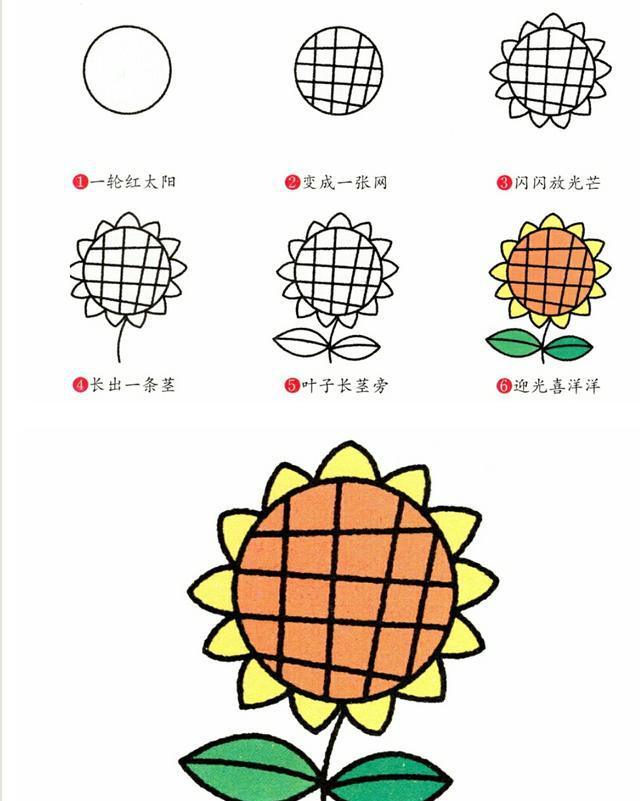 亲子简笔画8种常见植物,教会宝贝热爱生活,帮助宝贝开发智力