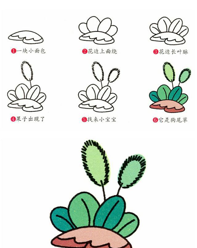 亲子简笔画8种常见植物,教会宝贝热爱生活,帮助宝贝开发智力