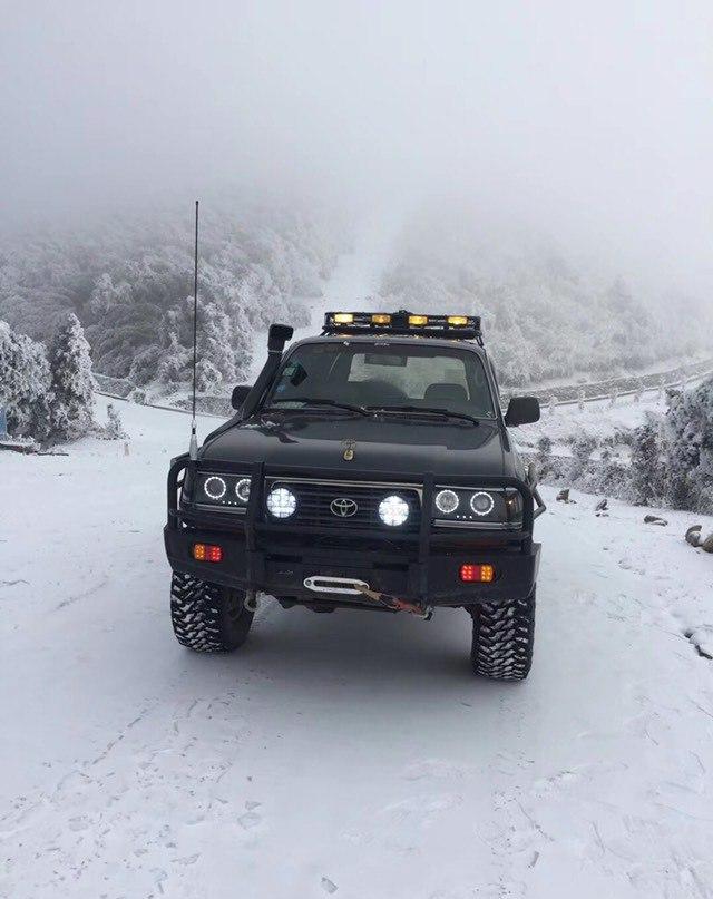 多款经典车型 都认识的绝对资深车迷