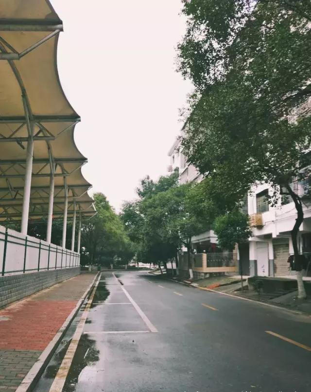 说不尽的桥，道不完的情｜江源大桥
