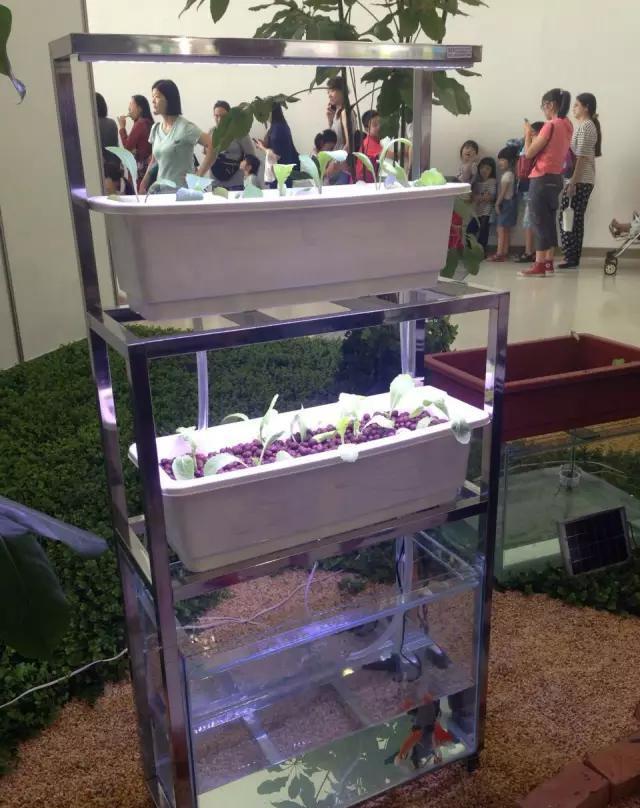 各种你没见过的新奇东西！不看后悔！