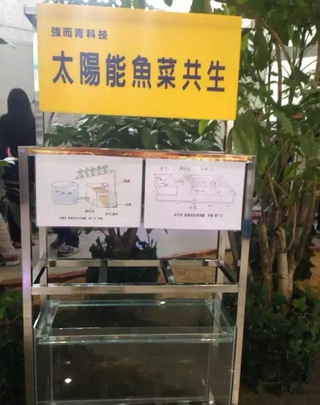 各种你没见过的新奇东西！不看后悔！