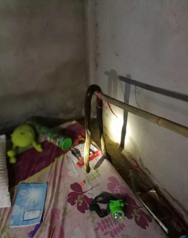 小女孩睡着睡着就死了,原因很吓人