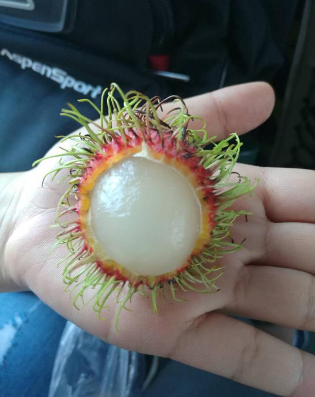 7月的泰国水果盛宴来了,不能带回国,那就吃个