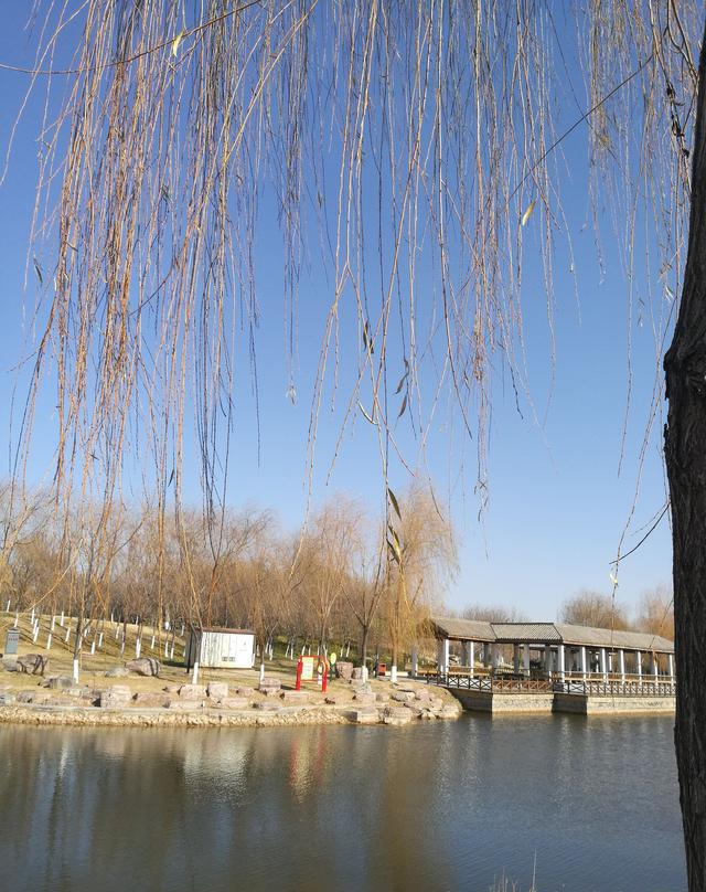 长垣为什么能成为河南省唯一县级城市入选全国城市双修试点县