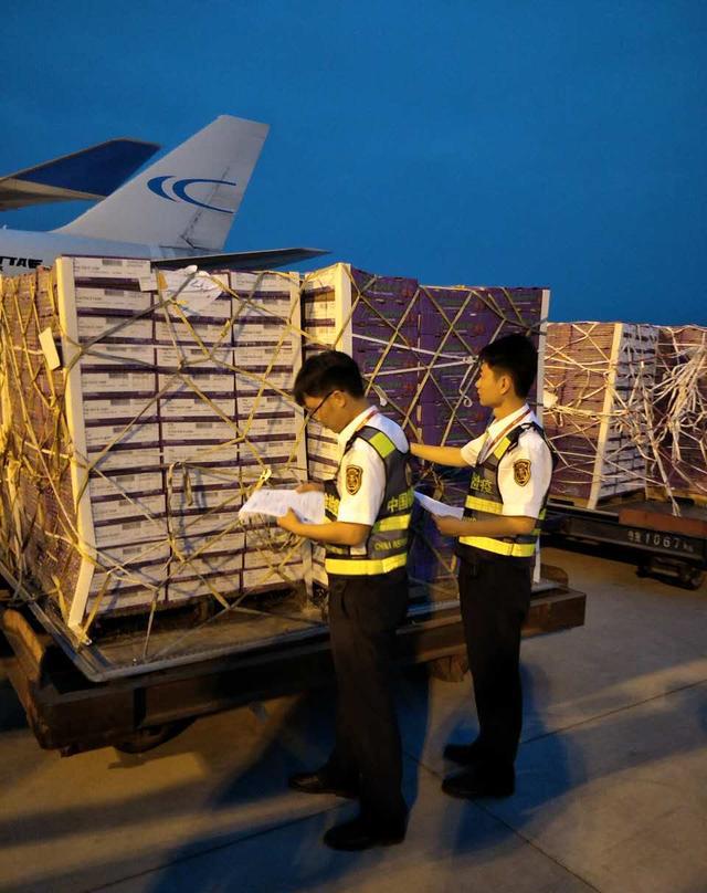 河南首架进境美国车厘子包机抵达郑州