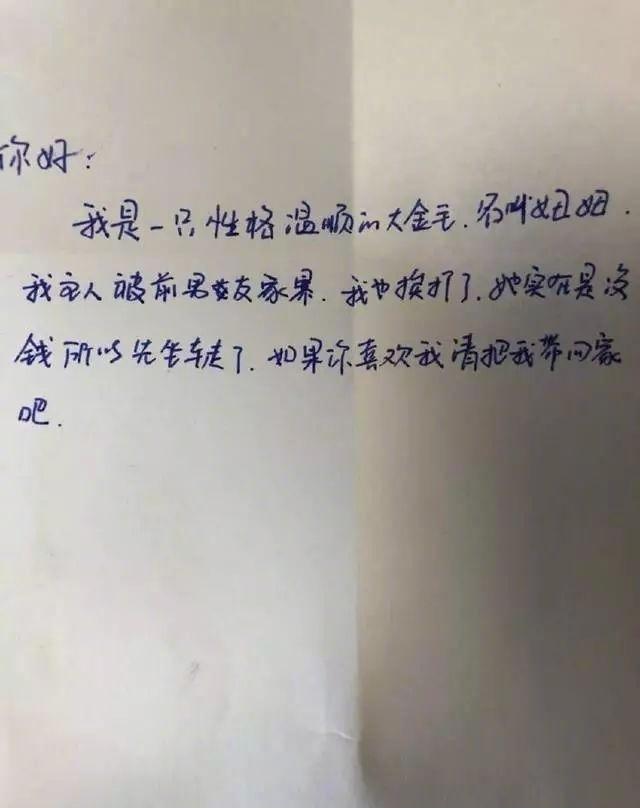 一脸忧伤的金毛被遗弃在车站,身上的字条叫人瞬间泪崩