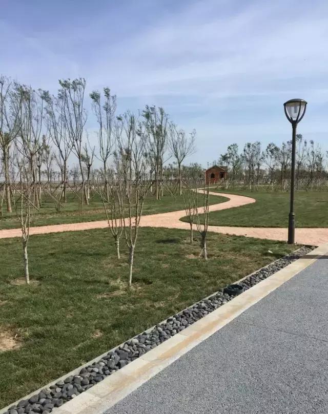 中新天津生态城东堤公园即将开放,看看有多美