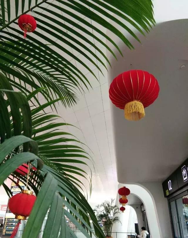 武汉天河机场:多举措提升春运服务保障品质