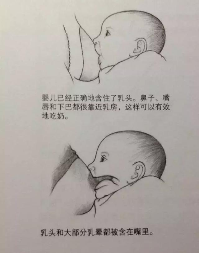 母乳喂养的各种姿势,你学到了吗