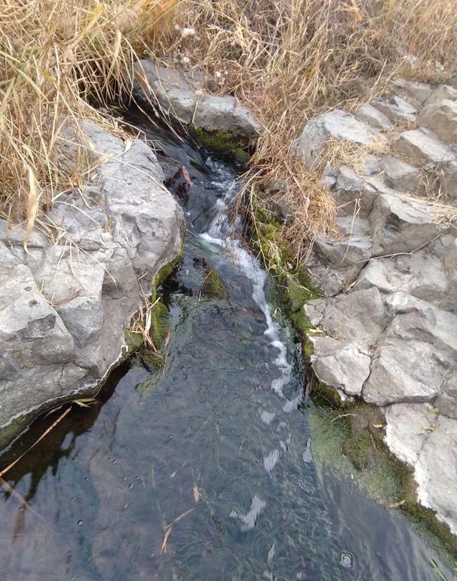 虞河景区一古怪水潭,水深不可测,鲜有鸟儿飞过