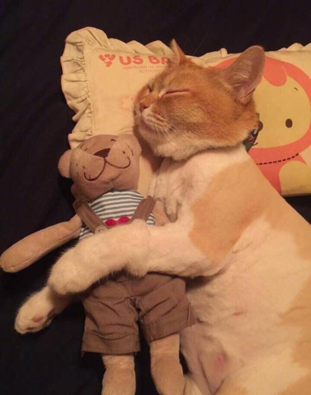 死亡跟睡觉一样感觉吗