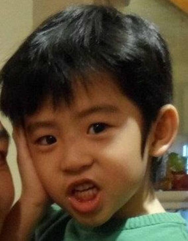 张柏芝小儿子用几个字形容了自己的父亲,谢霆