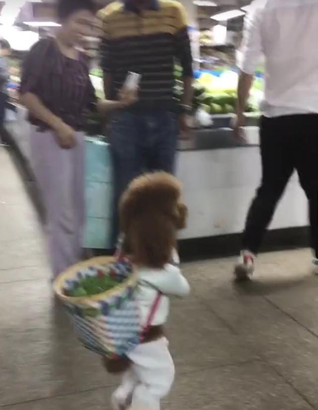 市场买菜了,你一定会认识它吧?它最近在网络很火