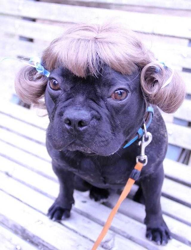 你在淘宝上买过什么奇葩的东西?