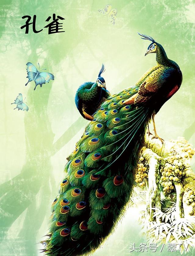 龙生九子,凤育九雏!有两个现在还真实活在世界上!