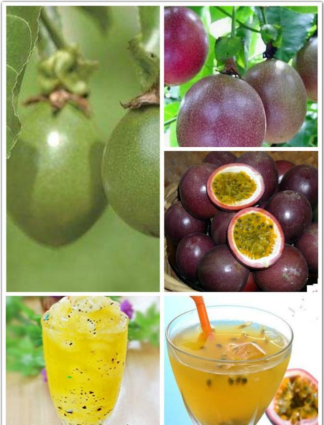 美女不能不吃的四种水果,尤其是百香果,你知道