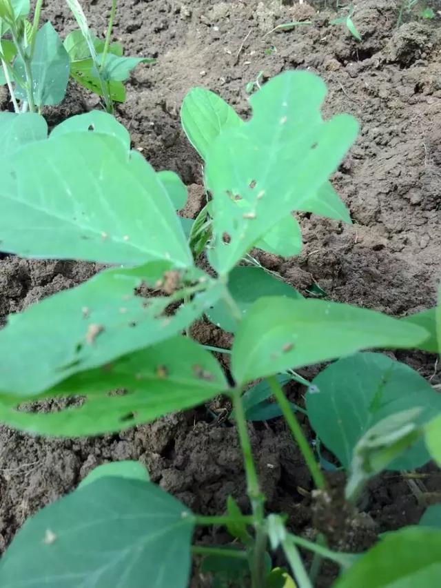 记录农村妈妈一天的辛苦生活