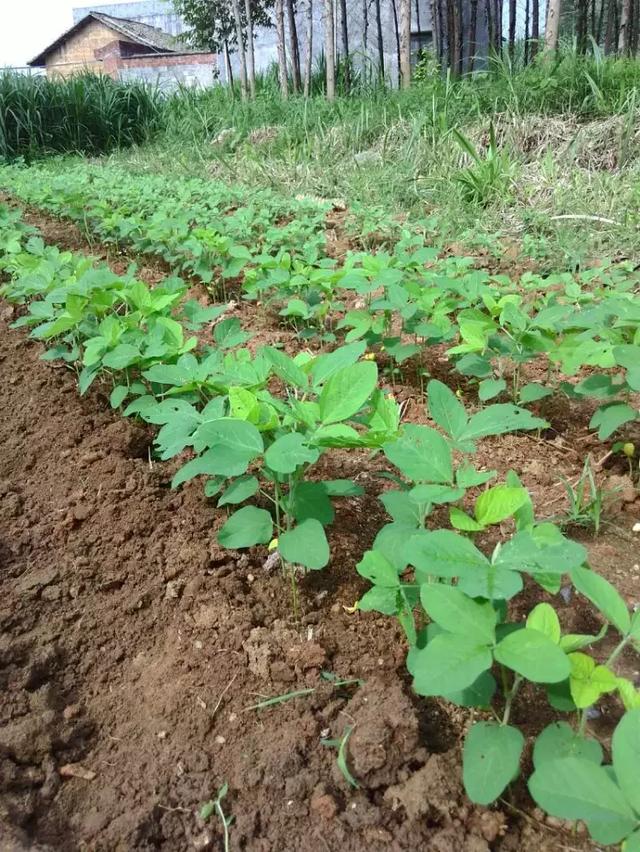 记录农村妈妈一天的辛苦生活