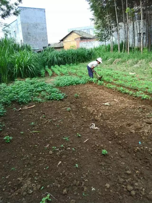 记录农村妈妈一天的辛苦生活
