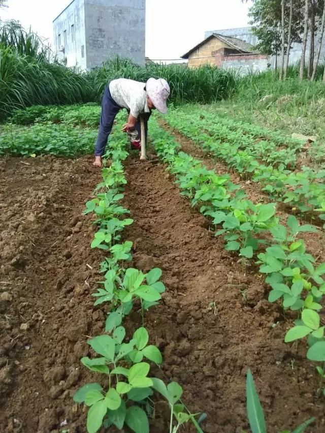 记录农村妈妈一天的辛苦生活