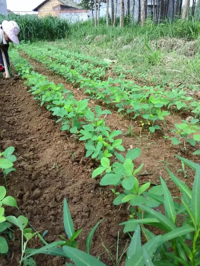 记录农村妈妈一天的辛苦生活