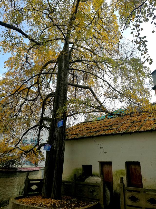 行业分析:提及少妇私密推油按摩2025是什么?专业推荐与注意事项