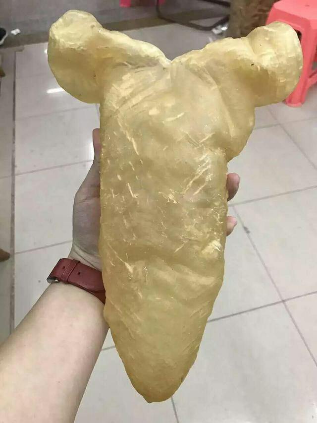 想都想不到,孕妇吃花胶好处有这么多