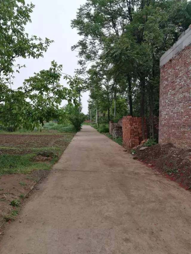 50多年的农家院,50多年的皂角树,95年的报纸,