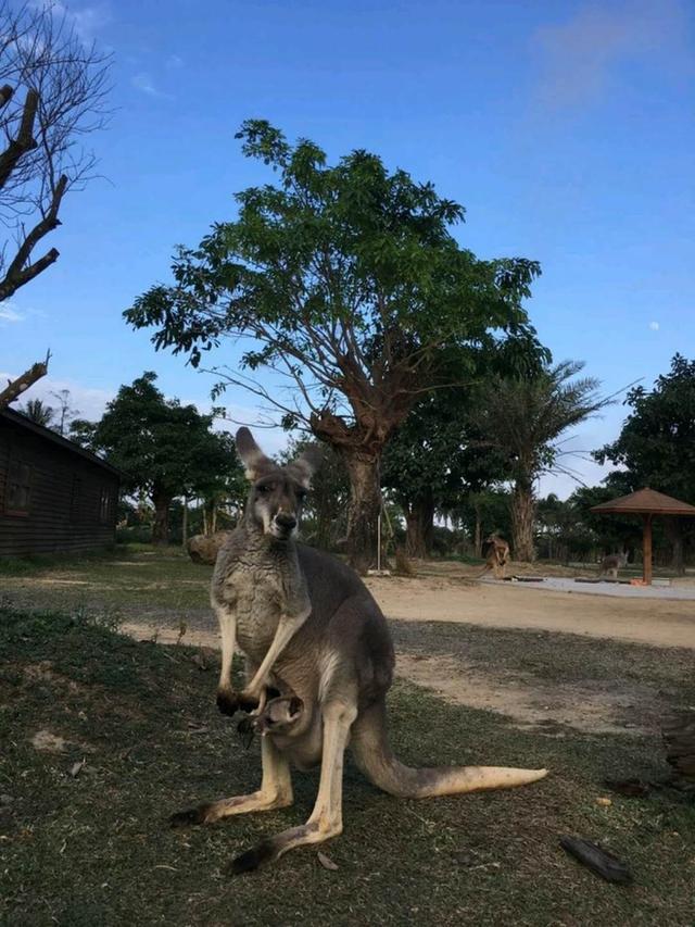 海南旅游攻略--亲子游自由行