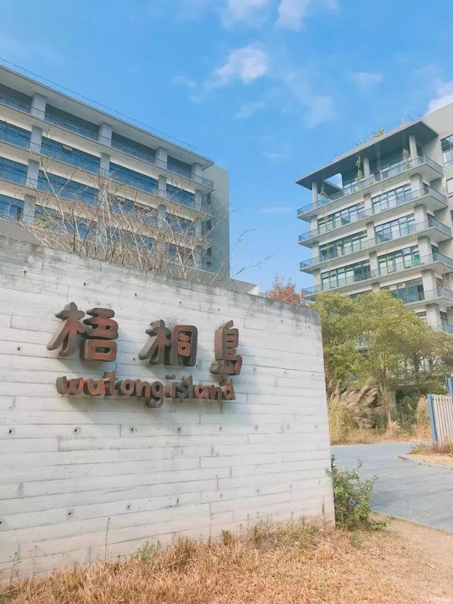 深圳又仙又美人又少的拍照圣地知道这个地方算你赢