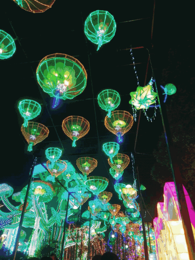 既然说到了花灯展,那么灯会届资格最老,声名最广的