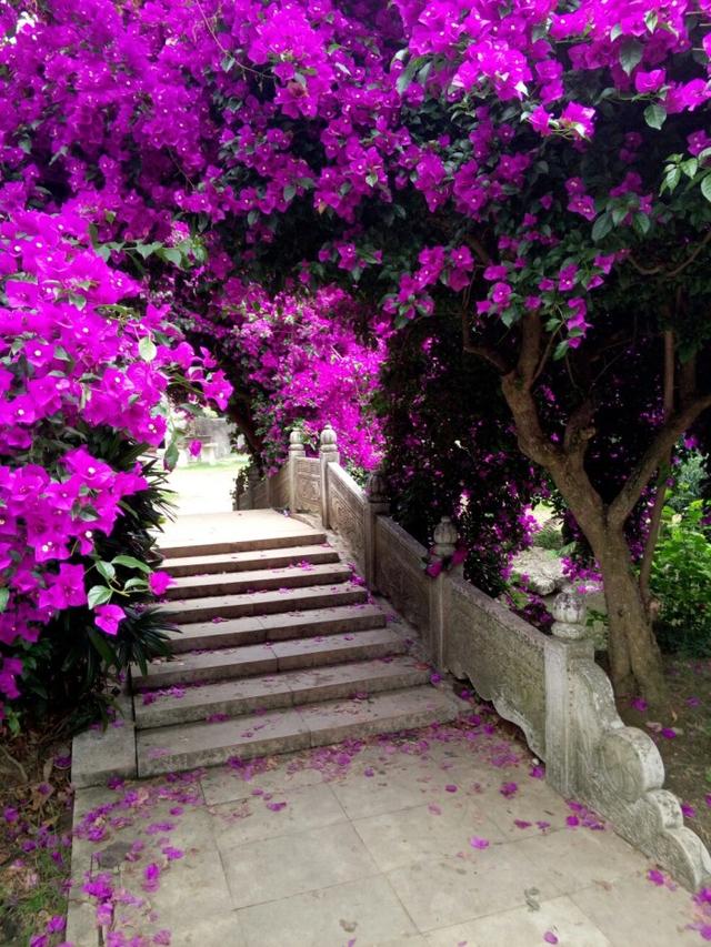 杜甫这首诗,富有情趣充满生活气息,却最受段子