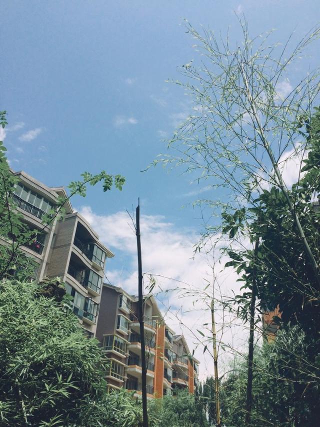 小区30层,亲戚一个劲的劝我买高层!附带地下室