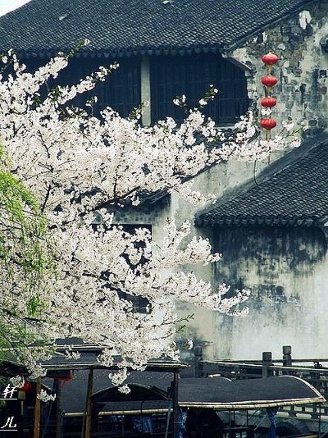一剪梅·雨打梨花深闭门