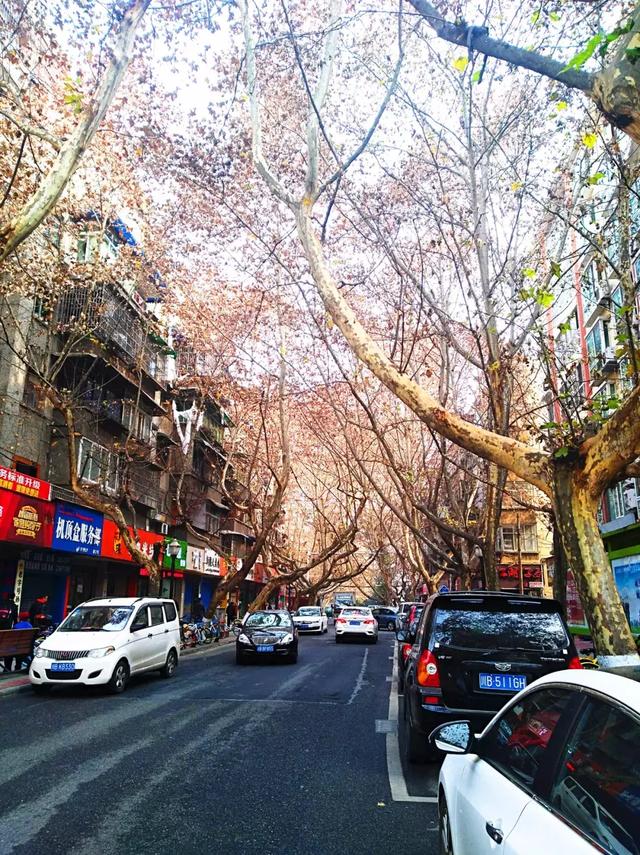 『见证绵阳千年风雨 在涪城区城厢街道的解放街,是一条深藏于市井之