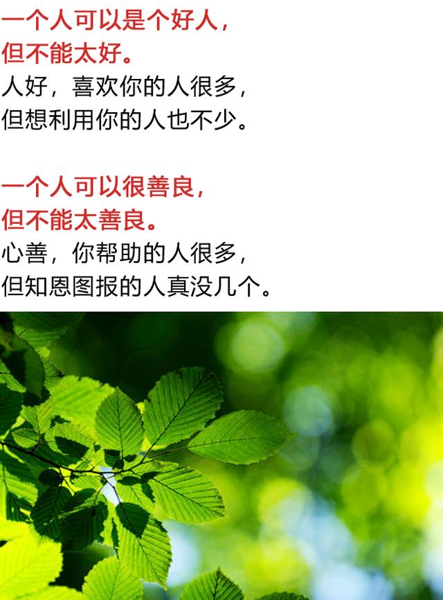 人心太软,下场太惨,老实人都该看看!(人生感悟)