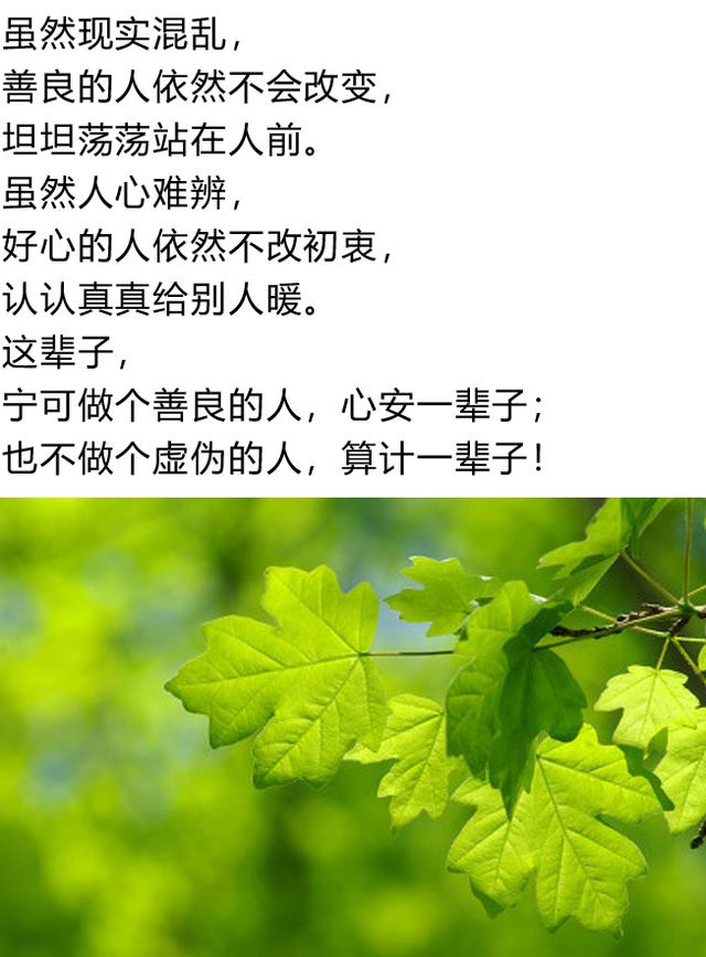 人心太软,下场太惨,老实人都该看看!(人生感悟)