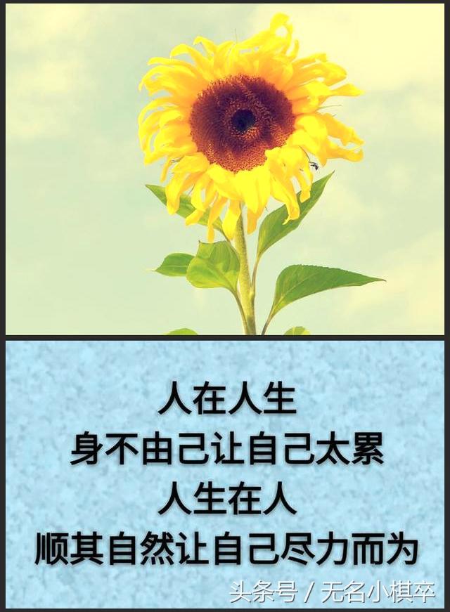 生活,真的没什么大不了!(看完太舒服了)