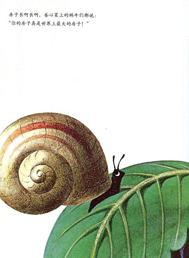 有声绘本--《世界上最大的房子》