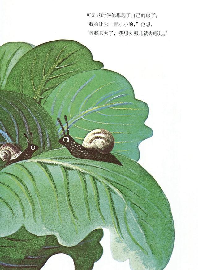 有声绘本--《世界上最大的房子》