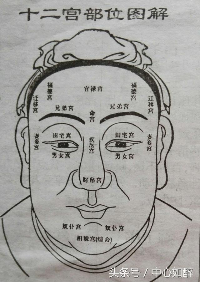 何谓十二宫面相是以不同的宫位象征人生的成败答案仅供参考