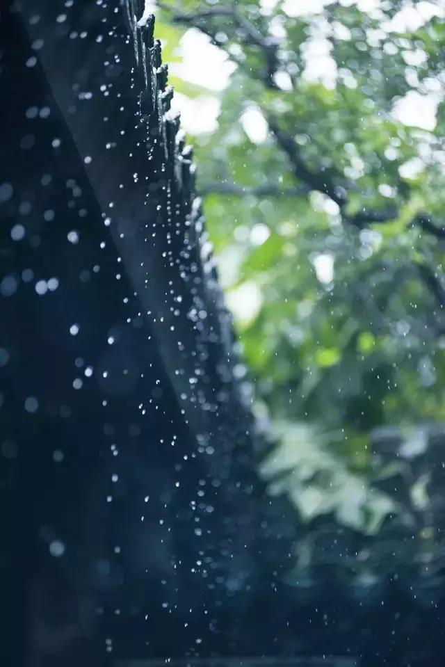诗中雨,雨中情